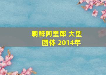 朝鲜阿里郎 大型团体 2014年